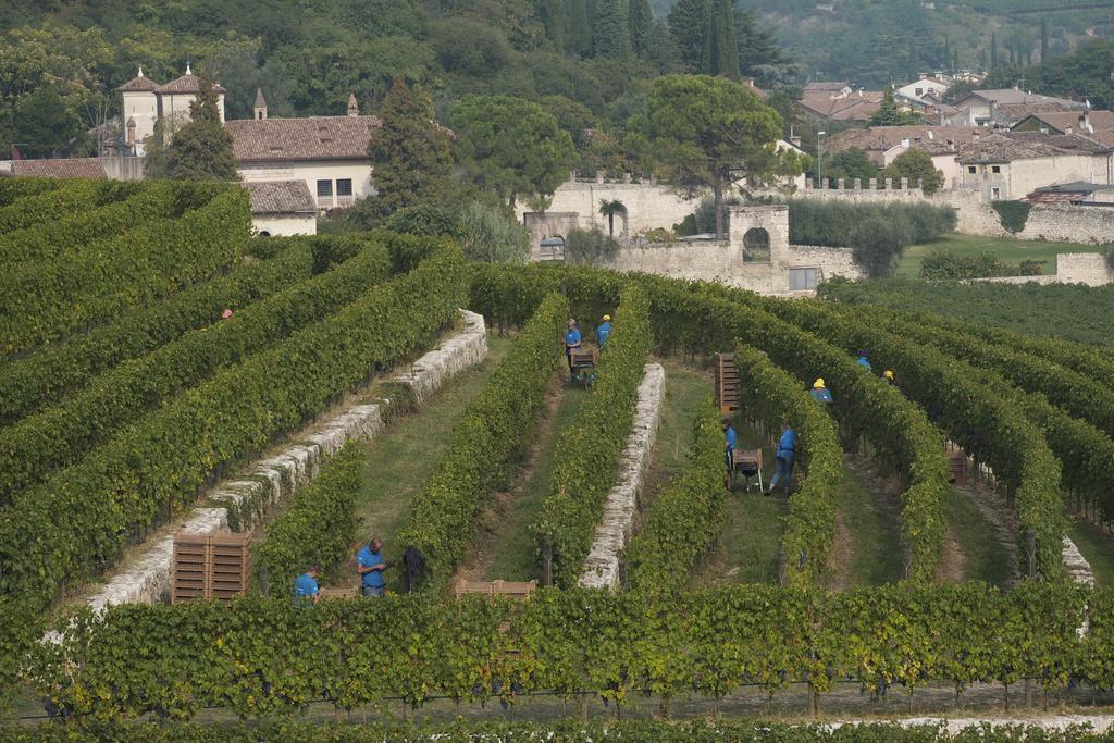 Villa Della Torre フマーネ エクステリア 写真